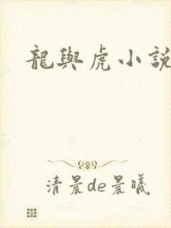龙与虎小说