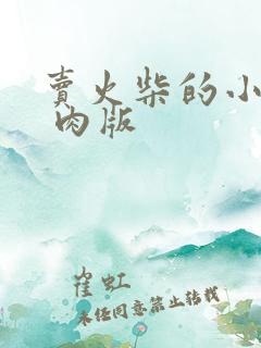 卖火柴的小男孩 肉版