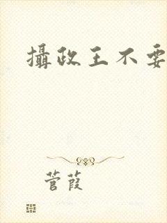 摄政王不要