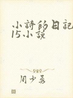 小诗的日记1一15小说