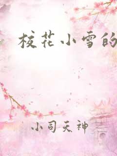 校花小雪的小说