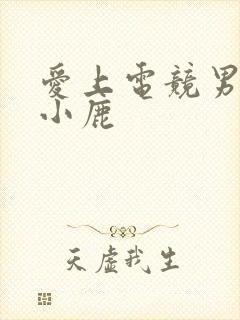 爱上电竞男神林小鹿