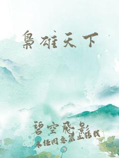 枭雄天下