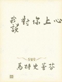 我对你上心了小说