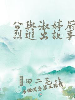 公与淑婷厨房猛烈进出故事