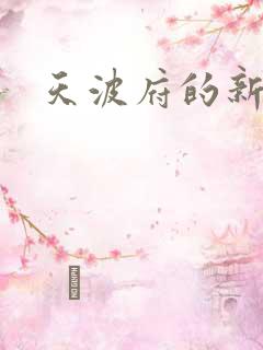 天波府的新姑爷