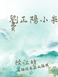 刘正阳小米多免费