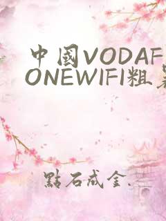 中国VODAFONEWIFI粗暴APP