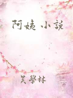 阿姨 小说