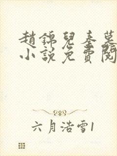 赵锦儿秦慕修的小说免费阅读全文