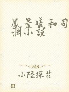 凤晨曦和司鸿颜渊小说