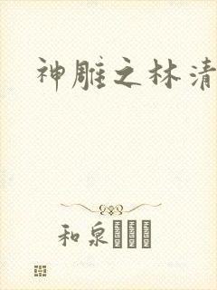 神雕之林清传