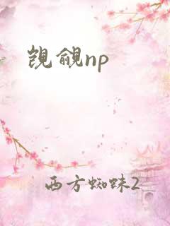 觊觎np