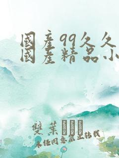 国产99久久久国产精品小说