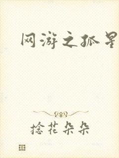 网游之孤星传说