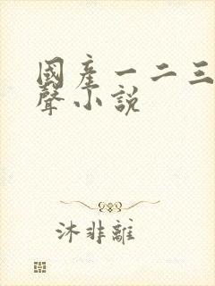 国产一二三区有声小说
