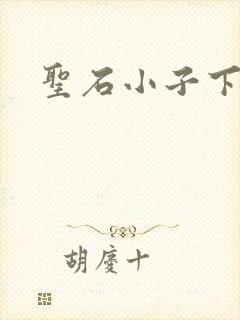 圣石小子下载