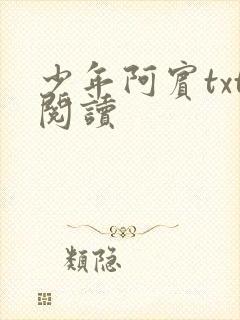 少年阿宾txt阅读