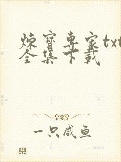 炼宝专家txt全集下载