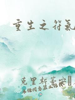 重生之符气冲天