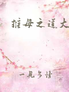 推母之道大结局