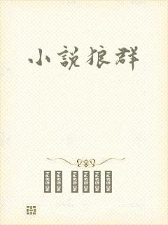 小说狼群