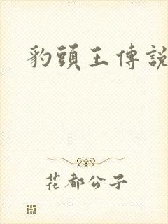 豹头王传说小说