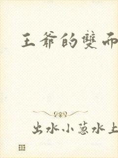 王爷的双面王妃