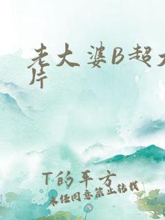 老大婆B超大图片