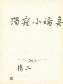 独宠小娇妻