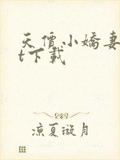 天价小娇妻txt下载