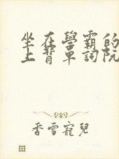 坐在学霸的棍子上背单词阮梅