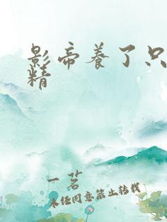 影帝养了只兰花精