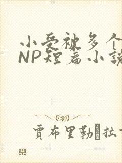 小受被多个攻强NP短篇小说