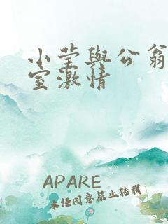 小莹与公翁办公室激情