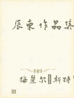 辰东作品集