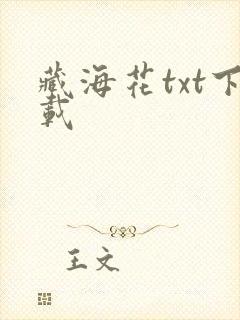 藏海花txt下载