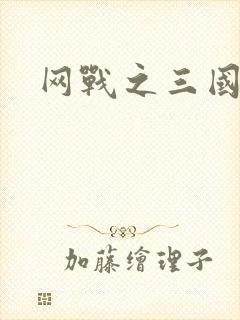 网战之三国霸业