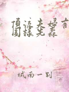 顶流夫妇有点甜图样先森