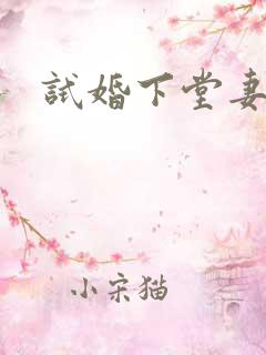 试婚下堂妻