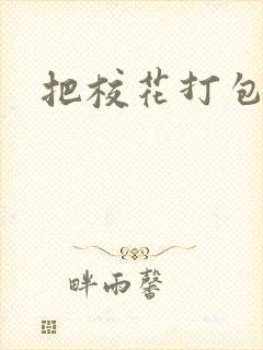 把校花打包带走