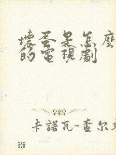 坏蛋是怎么炼成的电视剧