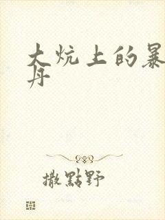 大炕上的暴伦小丹