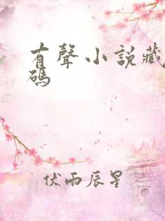 有声小说藏地密码