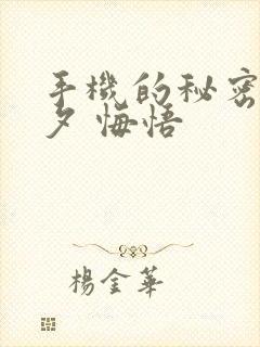 手机的秘密 七夕 悔悟