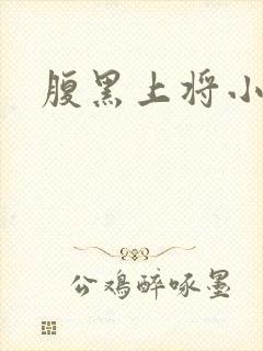 腹黑上将小小妻