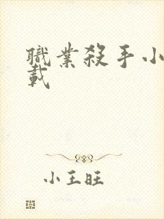 职业杀手小说下载