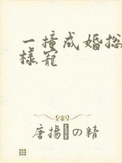 一撞成婚总裁花样宠