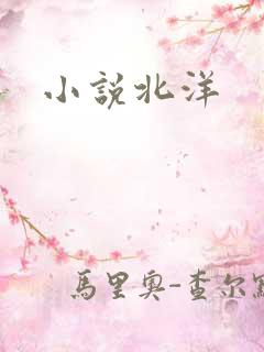 小说北洋