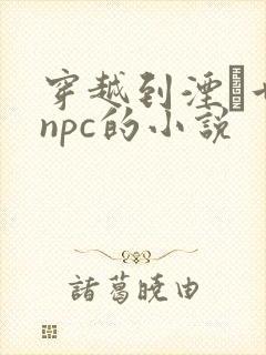 穿越到湮婸世界npc的小说